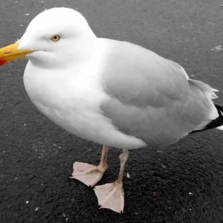 La Maison De Justine Holiday home *