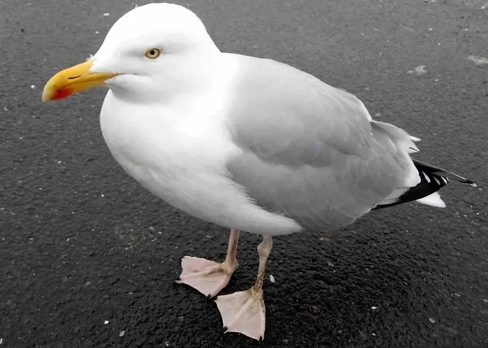 La Maison De Justine Holiday home *